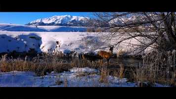 Free download On our way to Oregon video and edit with RedcoolMedia movie maker MovieStudio video editor online and AudioStudio audio editor onlin