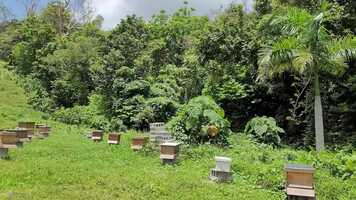 Free download On The Go Puerto Rico  141 S. 11 Ep.11, 2021 video and edit with RedcoolMedia movie maker MovieStudio video editor online and AudioStudio audio editor onlin