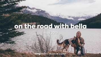 Free download on the road with bella video and edit with RedcoolMedia movie maker MovieStudio video editor online and AudioStudio audio editor onlin