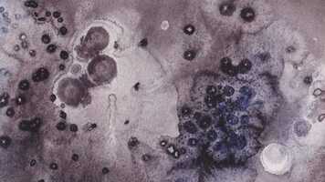 Free download Onyon video and edit with RedcoolMedia movie maker MovieStudio video editor online and AudioStudio audio editor onlin