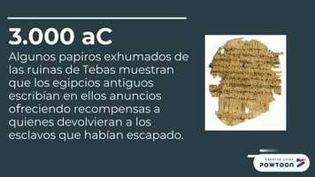 Free download OP 1 video and edit with RedcoolMedia movie maker MovieStudio video editor online and AudioStudio audio editor onlin