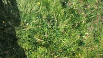 Free download Opdracht MSA filmacademie Trailer Verdomd alleen video and edit with RedcoolMedia movie maker MovieStudio video editor online and AudioStudio audio editor onlin