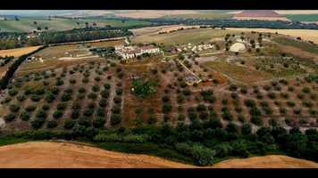 Free download Opening to Film video and edit with RedcoolMedia movie maker MovieStudio video editor online and AudioStudio audio editor onlin