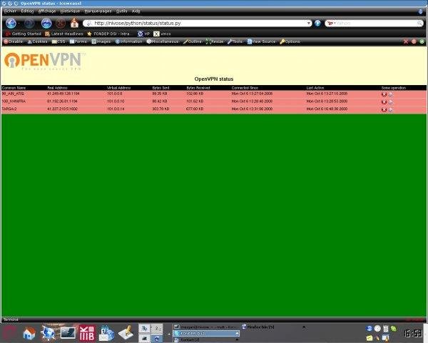 Download web tool or web app OpenVPN-Status