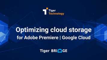 Free download Optimizing cloud storage usage for Adobe Premiere in Google Cloud video and edit with RedcoolMedia movie maker MovieStudio video editor online and AudioStudio audio editor onlin