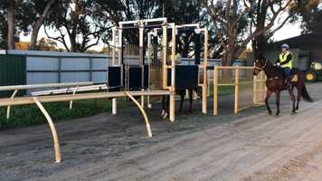 Free download Oratorio Colt @ Ascot video and edit with RedcoolMedia movie maker MovieStudio video editor online and AudioStudio audio editor onlin