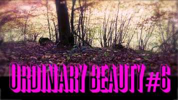 Free download Ordinary Beauty #6 - A musical clip video and edit with RedcoolMedia movie maker MovieStudio video editor online and AudioStudio audio editor onlin