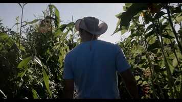 Free download Oregon Food Bank Ambassador - Ner Moo video and edit with RedcoolMedia movie maker MovieStudio video editor online and AudioStudio audio editor onlin