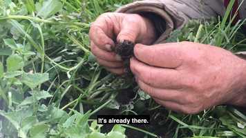 Free download Organic soil video and edit with RedcoolMedia movie maker MovieStudio video editor online and AudioStudio audio editor onlin