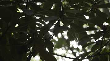 Free download Original Creation video and edit with RedcoolMedia movie maker MovieStudio video editor online and AudioStudio audio editor onlin