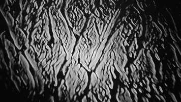 Free download Origin: Sustained video and edit with RedcoolMedia movie maker MovieStudio video editor online and AudioStudio audio editor onlin