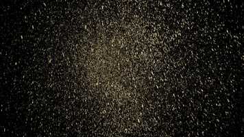 Free download ORO Animation video and edit with RedcoolMedia movie maker MovieStudio video editor online and AudioStudio audio editor onlin