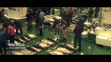 Free download Oro rojo - CINEMA COCINA video and edit with RedcoolMedia movie maker MovieStudio video editor online and AudioStudio audio editor onlin