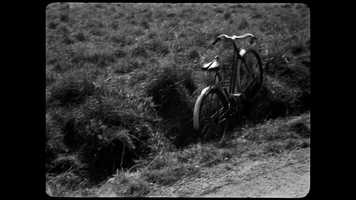 Free download Orphée (Orpheus) trailer video and edit with RedcoolMedia movie maker MovieStudio video editor online and AudioStudio audio editor onlin