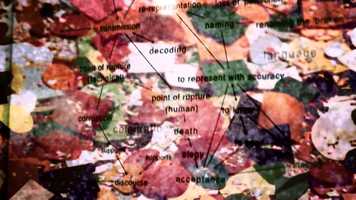 Free download Other Cinema - Spring Teaser video and edit with RedcoolMedia movie maker MovieStudio video editor online and AudioStudio audio editor onlin