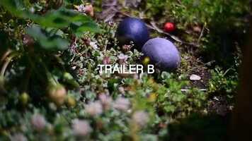 Free download 「O」TrailerB video and edit with RedcoolMedia movie maker MovieStudio video editor online and AudioStudio audio editor onlin