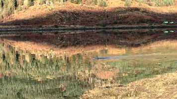 Free download Otter and Cubs Filmed on an iPhone from the car. video and edit with RedcoolMedia movie maker MovieStudio video editor online and AudioStudio audio editor onlin