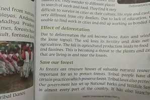 Free download Our forest wealth - Friday video and edit with RedcoolMedia movie maker MovieStudio video editor online and AudioStudio audio editor onlin