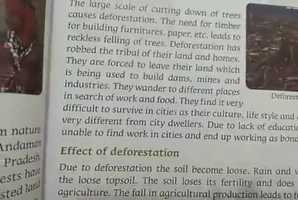 Free download Our forest wealth - Thursday video and edit with RedcoolMedia movie maker MovieStudio video editor online and AudioStudio audio editor onlin