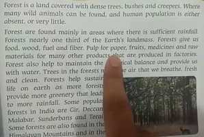 Free download Our forest wealth - Tuesday video and edit with RedcoolMedia movie maker MovieStudio video editor online and AudioStudio audio editor onlin