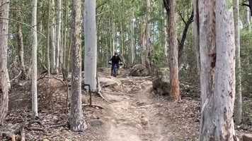 Free download Ourimbah Gravity video and edit with RedcoolMedia movie maker MovieStudio video editor online and AudioStudio audio editor onlin