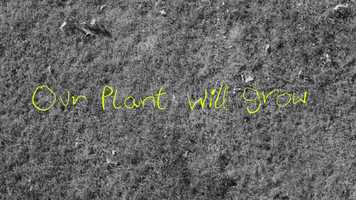 Free download Our plant will grow (trailer) video and edit with RedcoolMedia movie maker MovieStudio video editor online and AudioStudio audio editor onlin