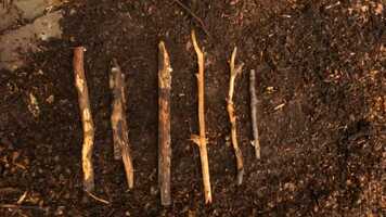 Free download Outdoor Animation 2021 video and edit with RedcoolMedia movie maker MovieStudio video editor online and AudioStudio audio editor onlin