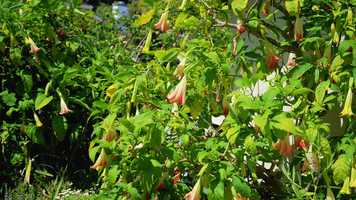 Free download Outdoor VND-ND No WB Out DVR short 4k video and edit with RedcoolMedia movie maker MovieStudio video editor online and AudioStudio audio editor onlin