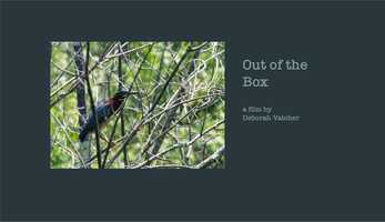 Free download Out of the Box (a walk outside) video and edit with RedcoolMedia movie maker MovieStudio video editor online and AudioStudio audio editor onlin