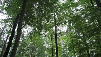 Free download Outside Society - Trailer lang video and edit with RedcoolMedia movie maker MovieStudio video editor online and AudioStudio audio editor onlin