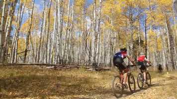 Free download Outside TV - 2010 Sam Bricker video and edit with RedcoolMedia movie maker MovieStudio video editor online and AudioStudio audio editor onlin