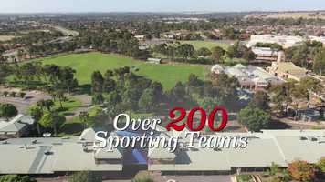 Free download Over 200 Sporting Teams video and edit with RedcoolMedia movie maker MovieStudio video editor online and AudioStudio audio editor onlin