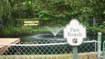 Free download Overview Video - Town and Country Animal Care Center video and edit with RedcoolMedia movie maker MovieStudio video editor online and AudioStudio audio editor onlin