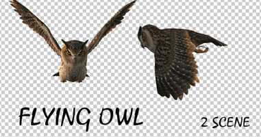 Free download Owl Flying - 2 Scene | Motion Graphics - Envato elements video and edit with RedcoolMedia movie maker MovieStudio video editor online and AudioStudio audio editor onlin