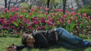 Free download Paaseitjes zoeken in het AMC- Trailer video and edit with RedcoolMedia movie maker MovieStudio video editor online and AudioStudio audio editor onlin