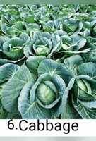 Free download Page no-20,what do we eat ? video and edit with RedcoolMedia movie maker MovieStudio video editor online and AudioStudio audio editor onlin