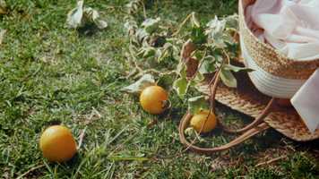 Free download Paige Valentine | Pure video and edit with RedcoolMedia movie maker MovieStudio video editor online and AudioStudio audio editor onlin