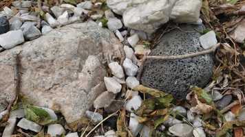 Free download Painfully Obvious Planet Earth, Episode 102 - Rocks video and edit with RedcoolMedia movie maker MovieStudio video editor online and AudioStudio audio editor onlin