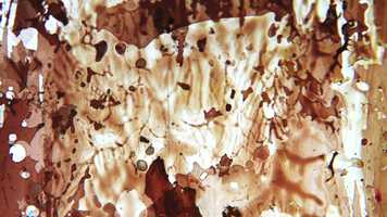 Free download PAINT_ON_FILM_01 video and edit with RedcoolMedia movie maker MovieStudio video editor online and AudioStudio audio editor onlin