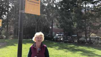 Free download Paleontology video and edit with RedcoolMedia movie maker MovieStudio video editor online and AudioStudio audio editor onlin