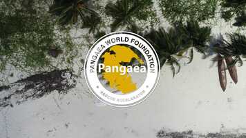 Free download Pangaea | No Harm Education video and edit with RedcoolMedia movie maker MovieStudio video editor online and AudioStudio audio editor onlin