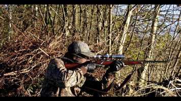 Free download PANTHERS IN THE GRASS video and edit with RedcoolMedia movie maker MovieStudio video editor online and AudioStudio audio editor onlin