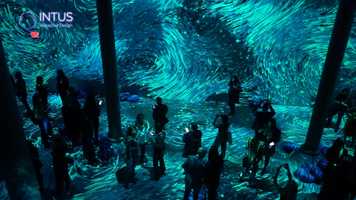 Free download PANTONE / ARTECHOUSE NYC video and edit with RedcoolMedia movie maker MovieStudio video editor online and AudioStudio audio editor onlin