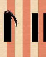 Free download Papi.reverse video and edit with RedcoolMedia movie maker MovieStudio video editor online and AudioStudio audio editor onlin