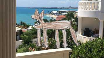 Free download Pappa Wont Step on a Bug video and edit with RedcoolMedia movie maker MovieStudio video editor online and AudioStudio audio editor onlin