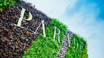 Free download Parade with Aiden Byrne at Chester Racecourse video and edit with RedcoolMedia movie maker MovieStudio video editor online and AudioStudio audio editor onlin