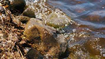 Free download Paradise Shores 4 Activities Trailer video and edit with RedcoolMedia movie maker MovieStudio video editor online and AudioStudio audio editor onlin