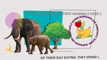 Free download Parallax animation - An Elephant Fact video and edit with RedcoolMedia movie maker MovieStudio video editor online and AudioStudio audio editor onlin