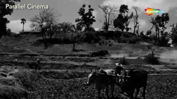 Free download Parallel Cinema video and edit with RedcoolMedia movie maker MovieStudio video editor online and AudioStudio audio editor onlin