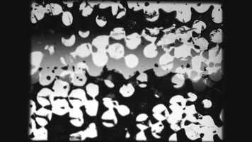 Free download Paraphernalia video and edit with RedcoolMedia movie maker MovieStudio video editor online and AudioStudio audio editor onlin